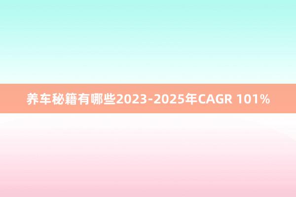 养车秘籍有哪些2023-2025年CAGR 101%