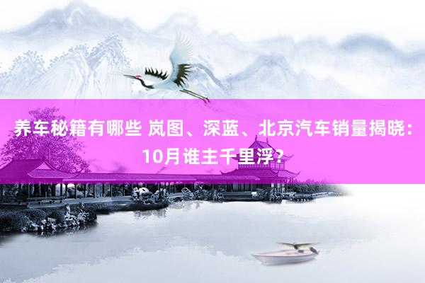 养车秘籍有哪些 岚图、深蓝、北京汽车销量揭晓：10月谁主千里浮？