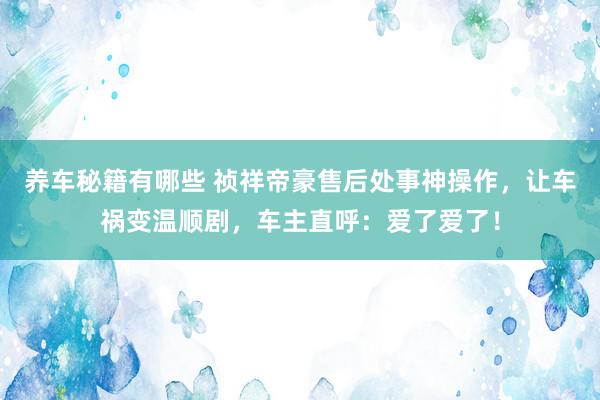 养车秘籍有哪些 祯祥帝豪售后处事神操作，让车祸变温顺剧，车主直呼：爱了爱了！