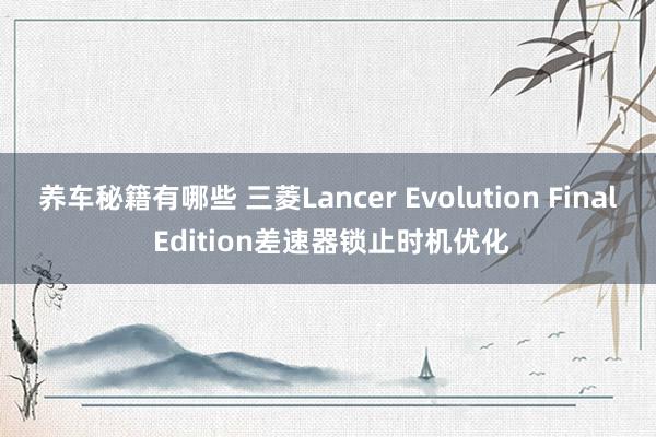 养车秘籍有哪些 三菱Lancer Evolution Final Edition差速器锁止时机优化