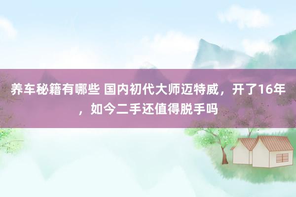 养车秘籍有哪些 国内初代大师迈特威，开了16年，如今二手还值得脱手吗