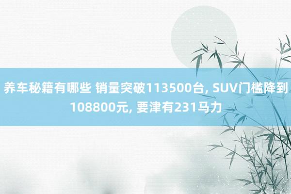 养车秘籍有哪些 销量突破113500台, SUV门槛降到108800元, 要津有231马力