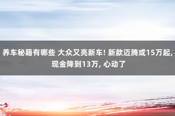 养车秘籍有哪些 大众又亮新车! 新款迈腾或15万起, 现金降到13万, 心动了