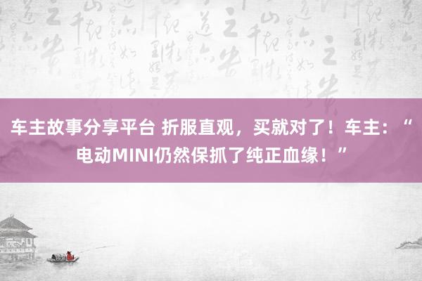 车主故事分享平台 折服直观，买就对了！车主：“电动MINI仍然保抓了纯正血缘！”