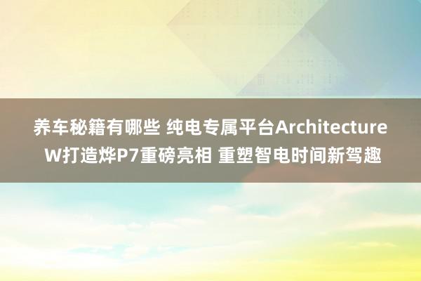 养车秘籍有哪些 纯电专属平台Architecture W打造烨P7重磅亮相 重塑智电时间新驾趣