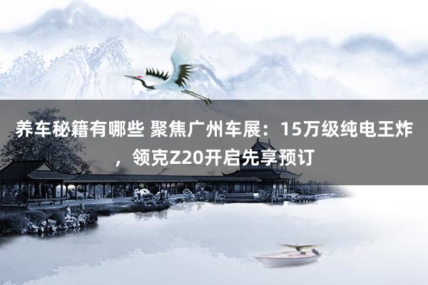 养车秘籍有哪些 聚焦广州车展：15万级纯电王炸，领克Z20开启先享预订