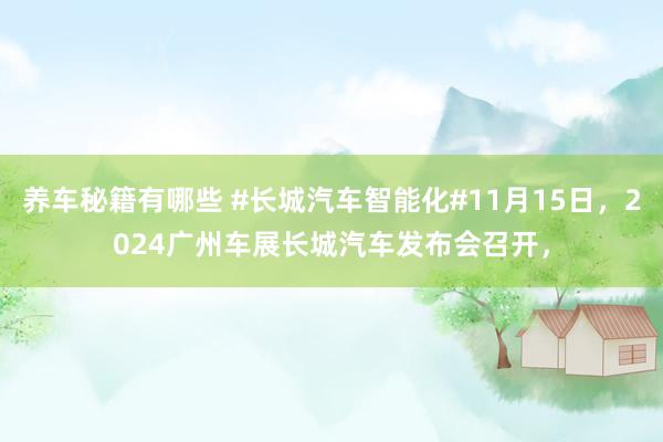 养车秘籍有哪些 #长城汽车智能化#11月15日，2024广州车展长城汽车发布会召开，