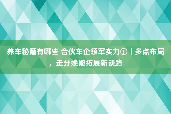 养车秘籍有哪些 合伙车企领军实力①｜多点布局，走分娩能拓展新谈路