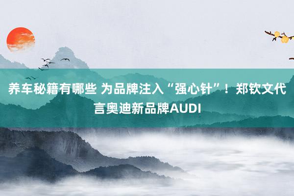 养车秘籍有哪些 为品牌注入“强心针”！郑钦文代言奥迪新品牌AUDI