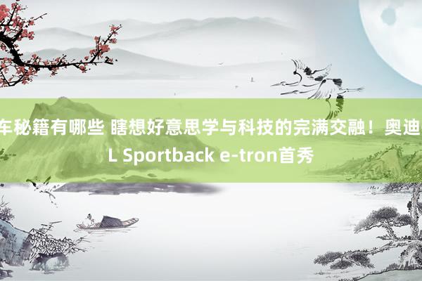 养车秘籍有哪些 瞎想好意思学与科技的完满交融！奥迪Q6L Sportback e-tron首秀