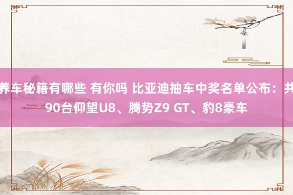 养车秘籍有哪些 有你吗 比亚迪抽车中奖名单公布：共90台仰望U8、腾势Z9 GT、豹8豪车