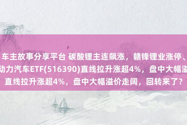 车主故事分享平台 碳酸锂主连飙涨，赣锋锂业涨停、宁德时期涨3%，新动力汽车ETF(516390)直线拉升涨超4%，盘中大幅溢价走阔，回转来了？