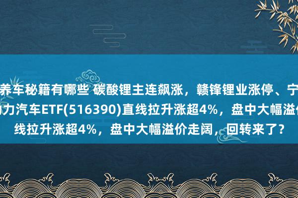 养车秘籍有哪些 碳酸锂主连飙涨，赣锋锂业涨停、宁德期间涨3%，新动力汽车ETF(516390)直线拉升涨超4%，盘中大幅溢价走阔，回转来了？