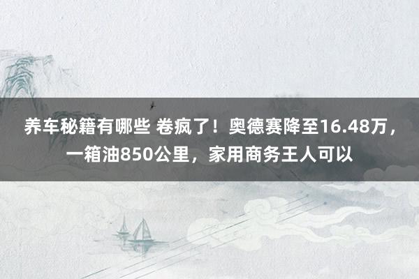 养车秘籍有哪些 卷疯了！奥德赛降至16.48万，一箱油850公里，家用商务王人可以