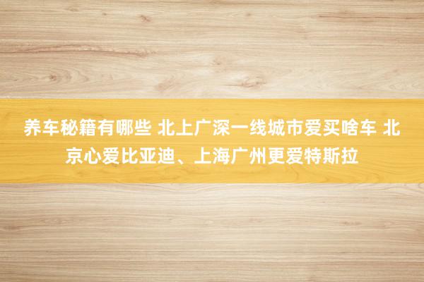 养车秘籍有哪些 北上广深一线城市爱买啥车 北京心爱比亚迪、上海广州更爱特斯拉