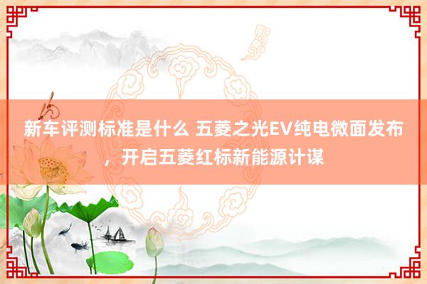 新车评测标准是什么 五菱之光EV纯电微面发布，开启五菱红标新能源计谋