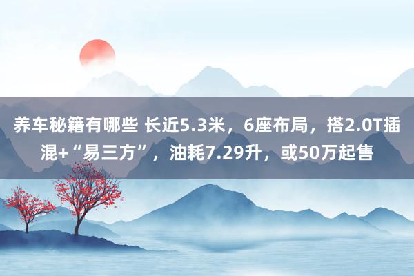 养车秘籍有哪些 长近5.3米，6座布局，搭2.0T插混+“易三方”，油耗7.29升，或50万起售