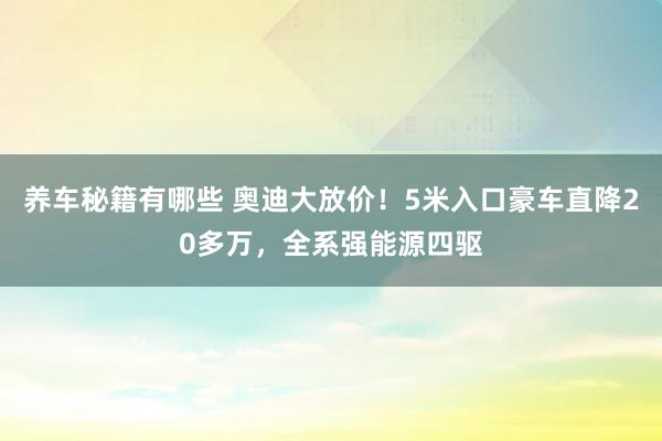 养车秘籍有哪些 奥迪大放价！5米入口豪车直降20多万，全系强能源四驱