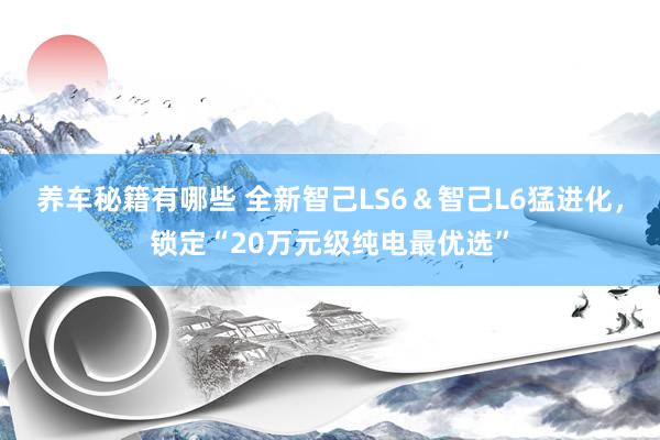 养车秘籍有哪些 全新智己LS6＆智己L6猛进化，锁定“20万元级纯电最优选”