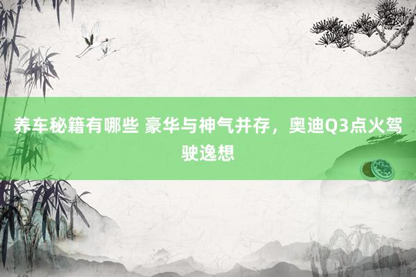 养车秘籍有哪些 豪华与神气并存，奥迪Q3点火驾驶逸想