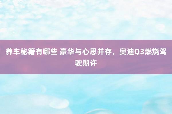 养车秘籍有哪些 豪华与心思并存，奥迪Q3燃烧驾驶期许