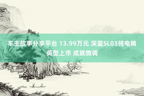 车主故事分享平台 13.99万元 深蓝SL03纯电精英型上市 成就微调