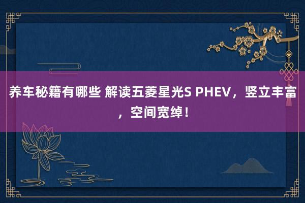 养车秘籍有哪些 解读五菱星光S PHEV，竖立丰富，空间宽绰！