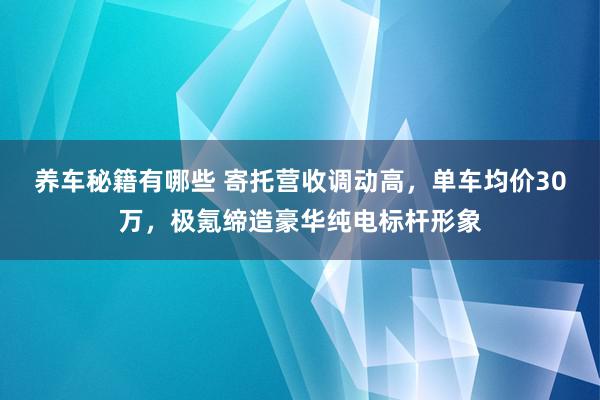 养车秘籍有哪些 寄托营收调动高，单车均价30万，极氪缔造豪华纯电标杆形象