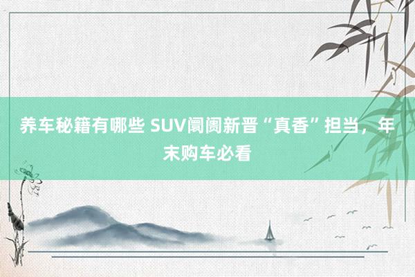 养车秘籍有哪些 SUV阛阓新晋“真香”担当，年末购车必看