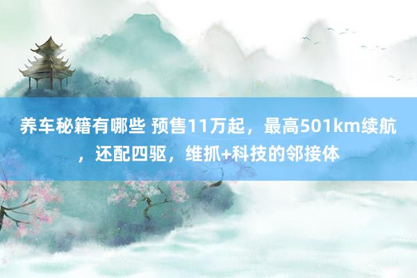 养车秘籍有哪些 预售11万起，最高501km续航，还配四驱，维抓+科技的邻接体