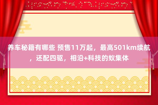 养车秘籍有哪些 预售11万起，最高501km续航，还配四驱，相沿+科技的蚁集体