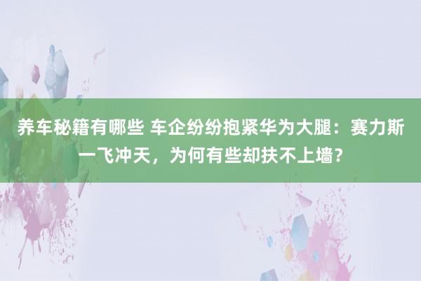 养车秘籍有哪些 车企纷纷抱紧华为大腿：赛力斯一飞冲天，为何有些却扶不上墙？