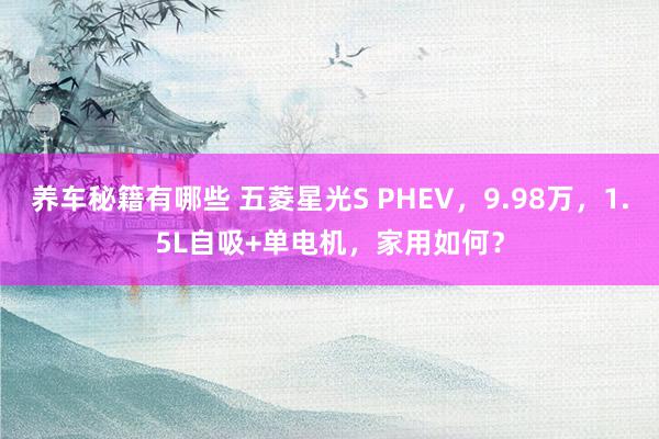 养车秘籍有哪些 五菱星光S PHEV，9.98万，1.5L自吸+单电机，家用如何？