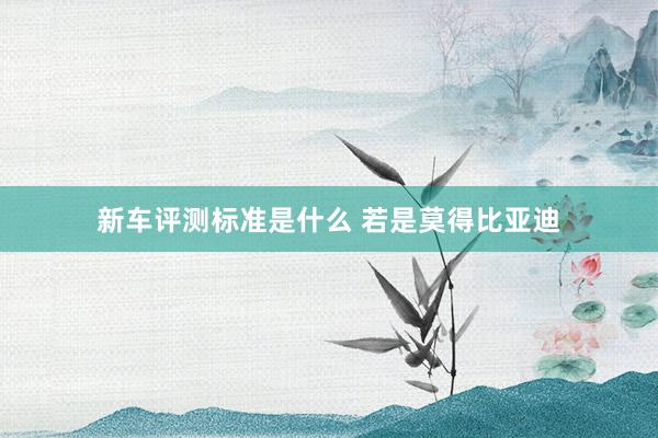 新车评测标准是什么 若是莫得比亚迪