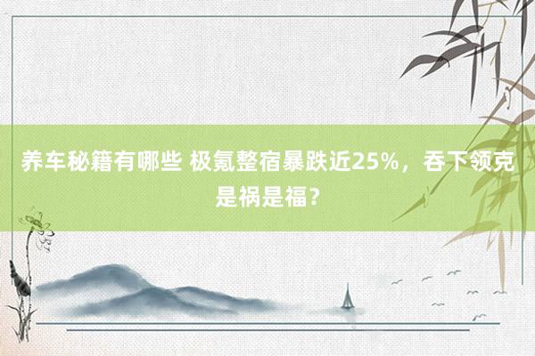 养车秘籍有哪些 极氪整宿暴跌近25%，吞下领克是祸是福？