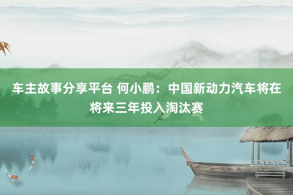 车主故事分享平台 何小鹏：中国新动力汽车将在将来三年投入淘汰赛