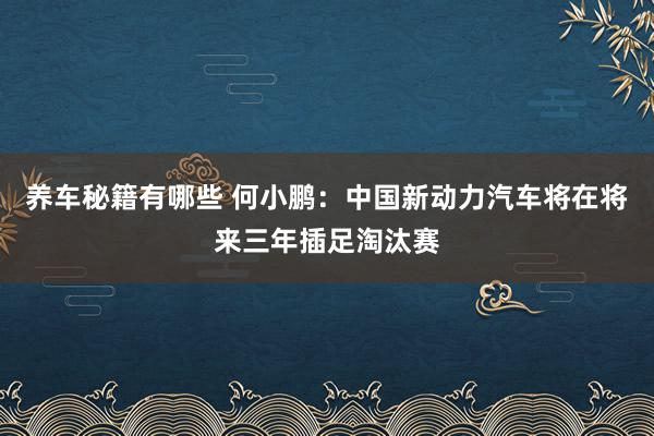 养车秘籍有哪些 何小鹏：中国新动力汽车将在将来三年插足淘汰赛