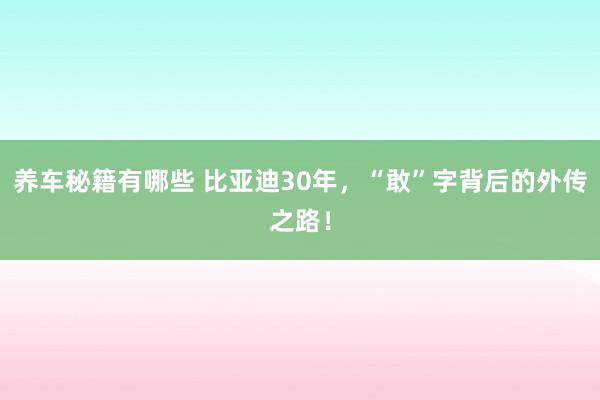 养车秘籍有哪些 比亚迪30年，“敢”字背后的外传之路！