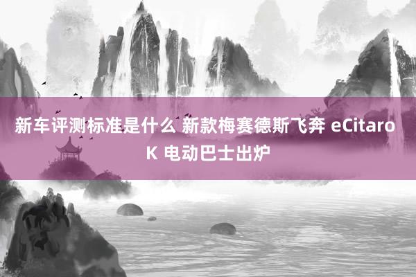 新车评测标准是什么 新款梅赛德斯飞奔 eCitaro K 电动巴士出炉