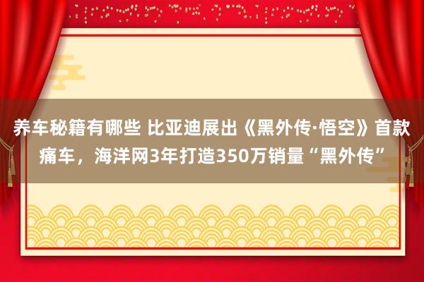 养车秘籍有哪些 比亚迪展出《黑外传·悟空》首款痛车，海洋网3年打造350万销量“黑外传”