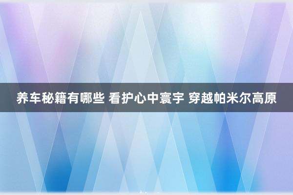 养车秘籍有哪些 看护心中寰宇 穿越帕米尔高原