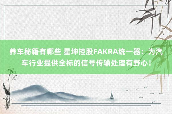 养车秘籍有哪些 星坤控股FAKRA统一器：为汽车行业提供全标的信号传输处理有野心！