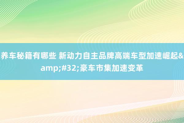 养车秘籍有哪些 新动力自主品牌高端车型加速崛起&#32;豪车市集加速变革