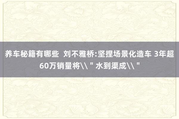 养车秘籍有哪些  刘不雅桥:坚捏场景化造车 3年超60万销量将\＂水到渠成\＂