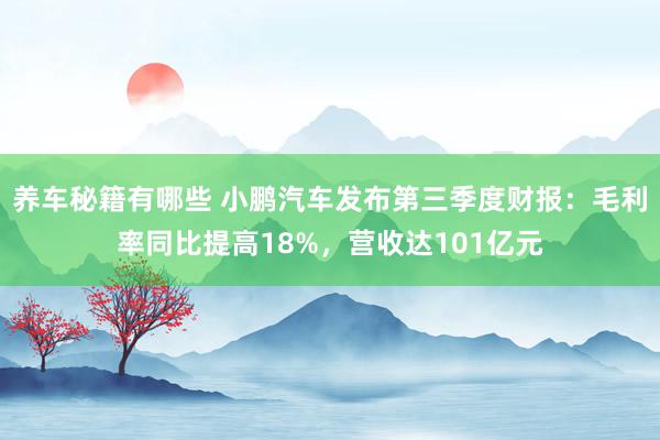 养车秘籍有哪些 小鹏汽车发布第三季度财报：毛利率同比提高18%，营收达101亿元