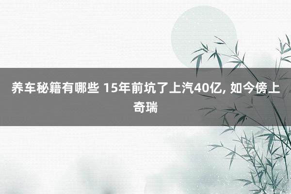 养车秘籍有哪些 15年前坑了上汽40亿, 如今傍上奇瑞