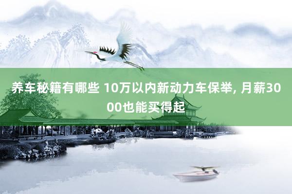 养车秘籍有哪些 10万以内新动力车保举, 月薪3000也能买得起