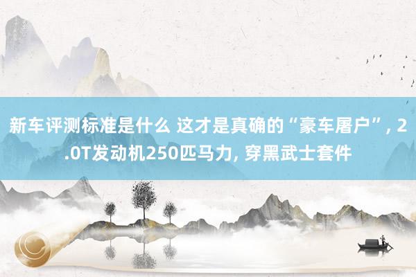 新车评测标准是什么 这才是真确的“豪车屠户”, 2.0T发动机250匹马力, 穿黑武士套件