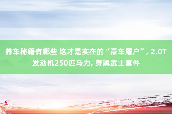 养车秘籍有哪些 这才是实在的“豪车屠户”, 2.0T发动机250匹马力, 穿黑武士套件