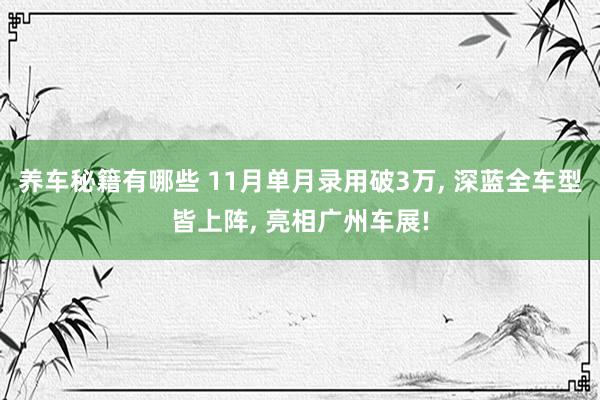 养车秘籍有哪些 11月单月录用破3万, 深蓝全车型皆上阵, 亮相广州车展!